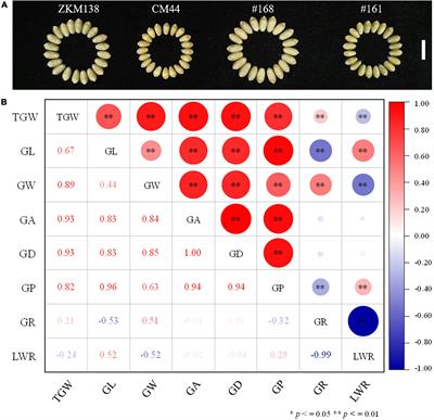 Frontiers | Quantitative Trait Loci Identification And Breeding Value ...